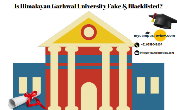 My Campus Review - News