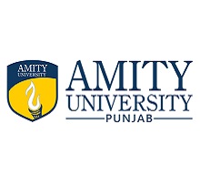 AMITY UNIVERSITY PUNJAB